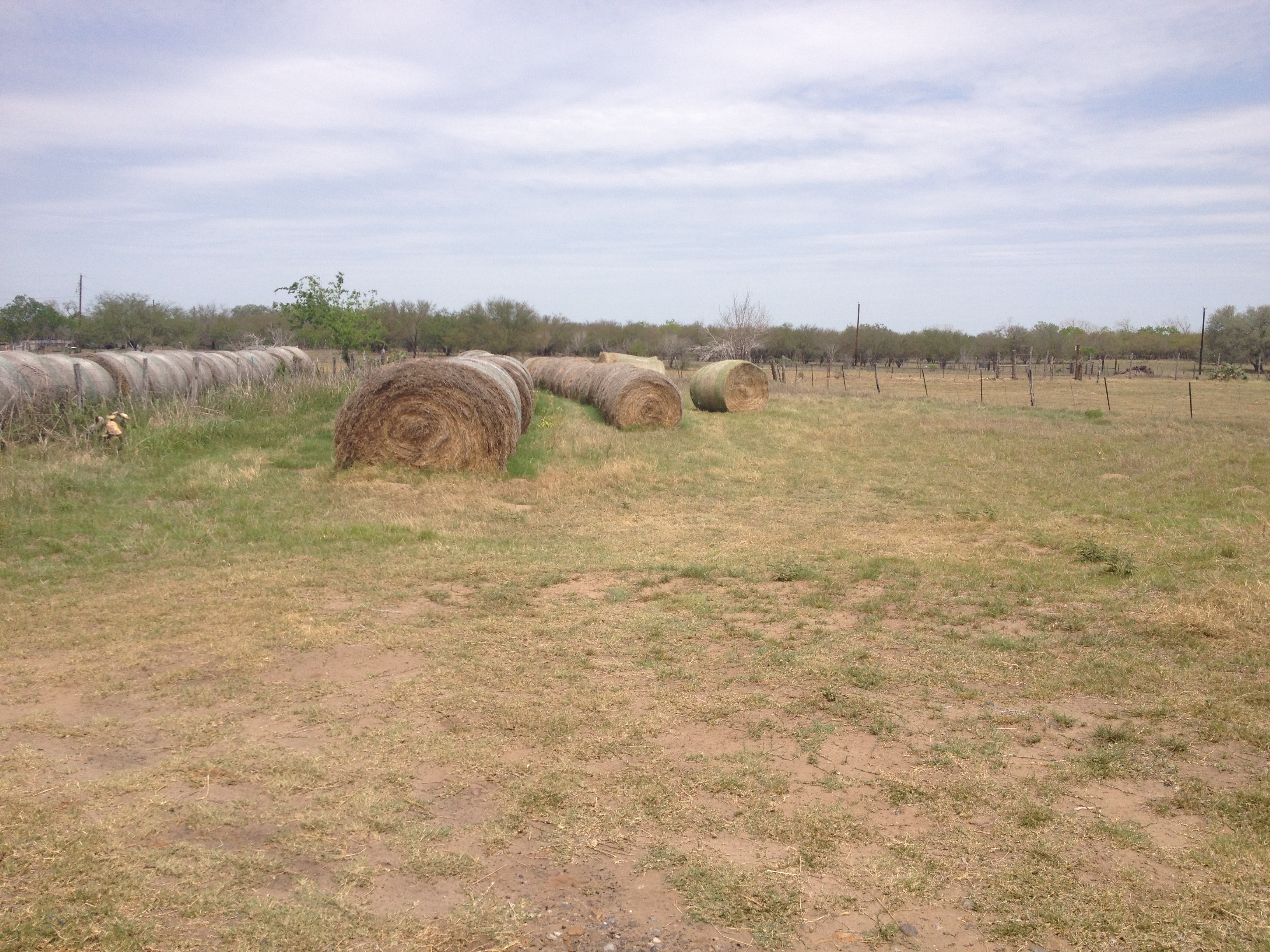 April 27 where the family garden used to be