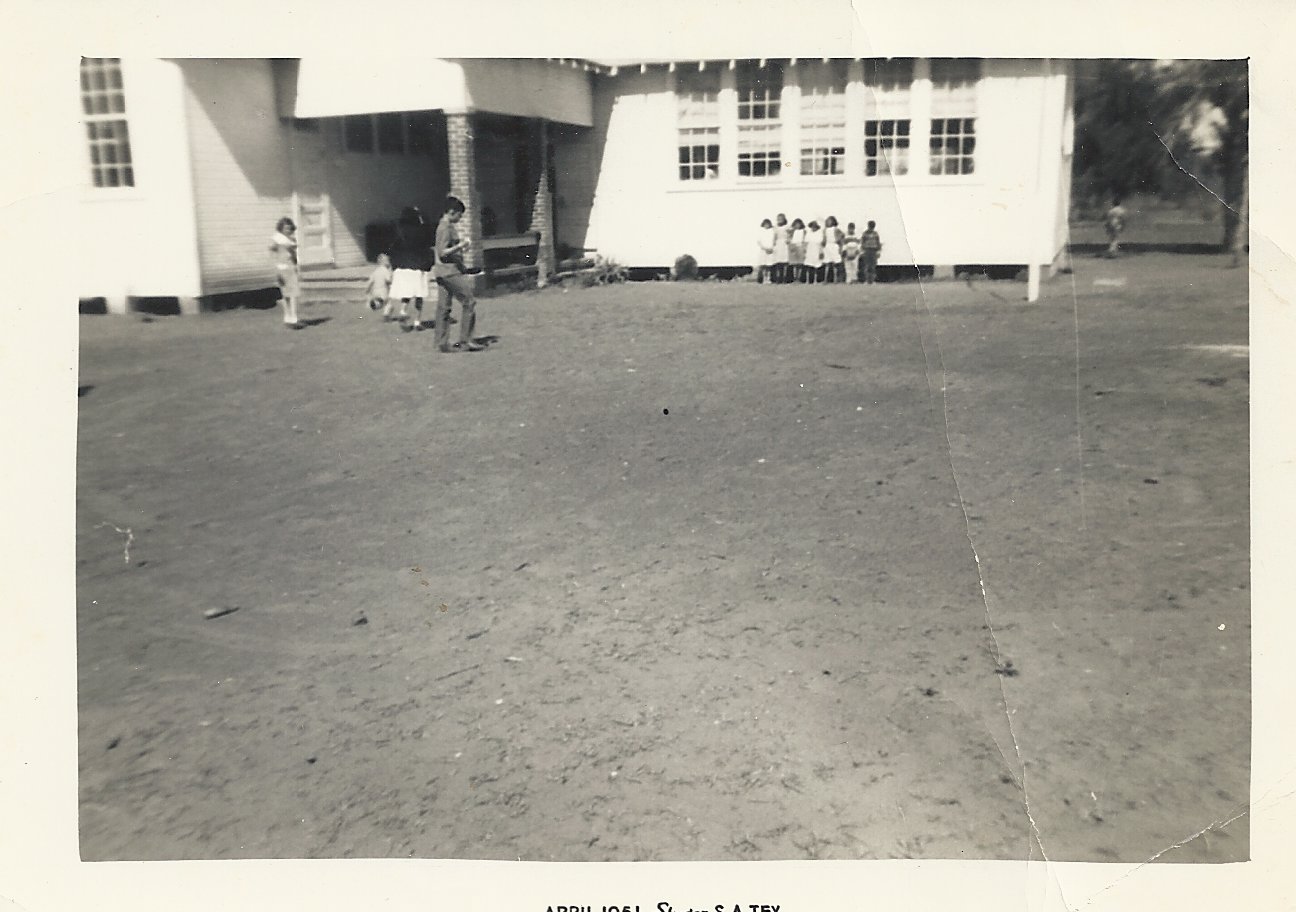 Grammer School Anita went to 1940'1950 in Leming, Texas