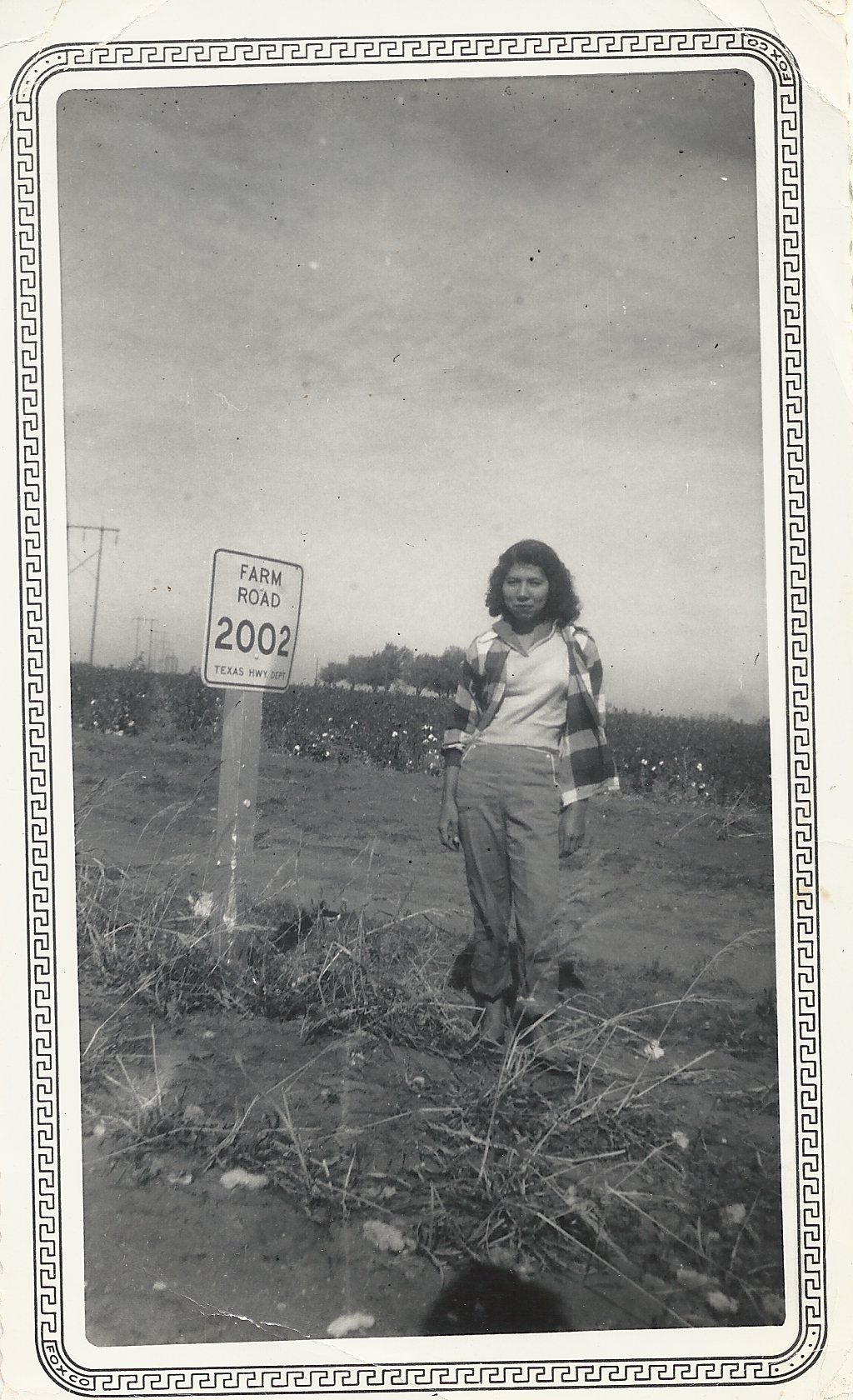 Anita age 20 working in cotton fields in Abilene, Texas