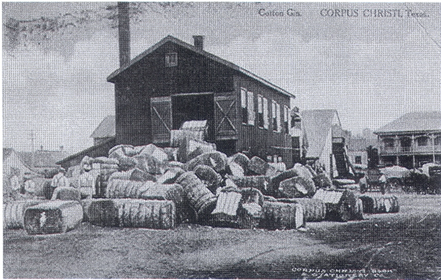 Cotton Yard in Corpus Christ.