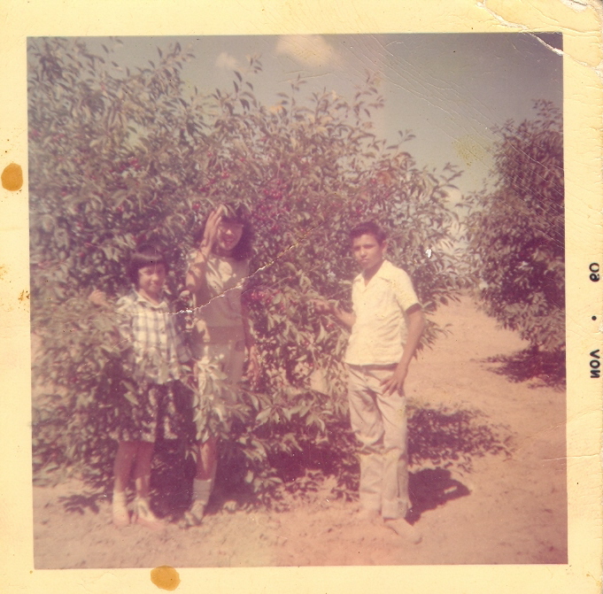 Mary Helen and her twin brother jesse and sister Delilah. In Michigan picking cherries in Nov,1960
