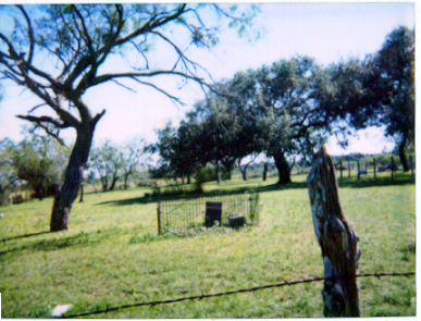 Concrete Cemetery, where William Wiseman and his family are buried. (Courtesy of A. M. Middleton)