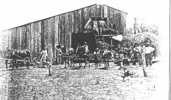 Miguel Reyes farm 1914