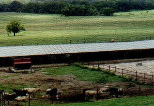 The Luling Foundation Farm