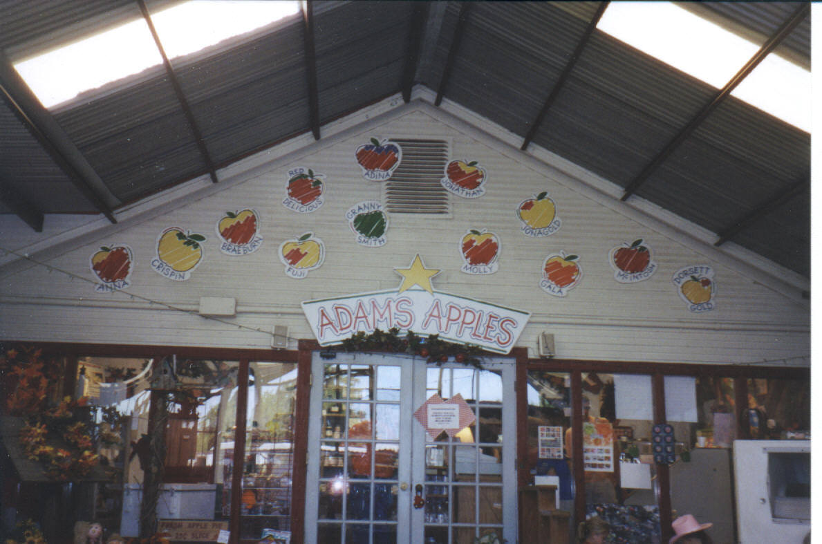 The Love Creek Store