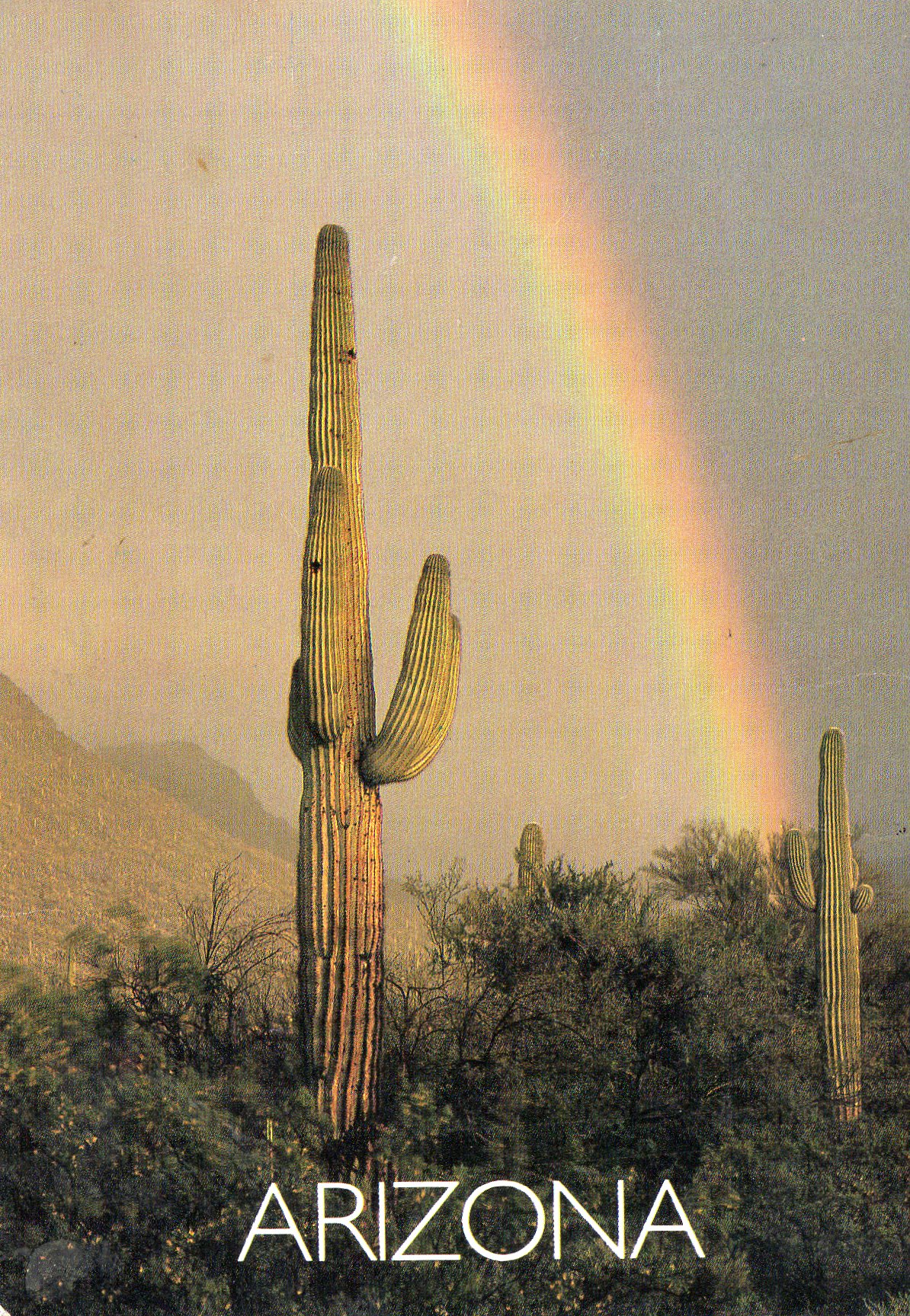 Postcard from Arizona, Year Dated 1972