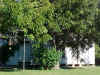 Old Navarro School