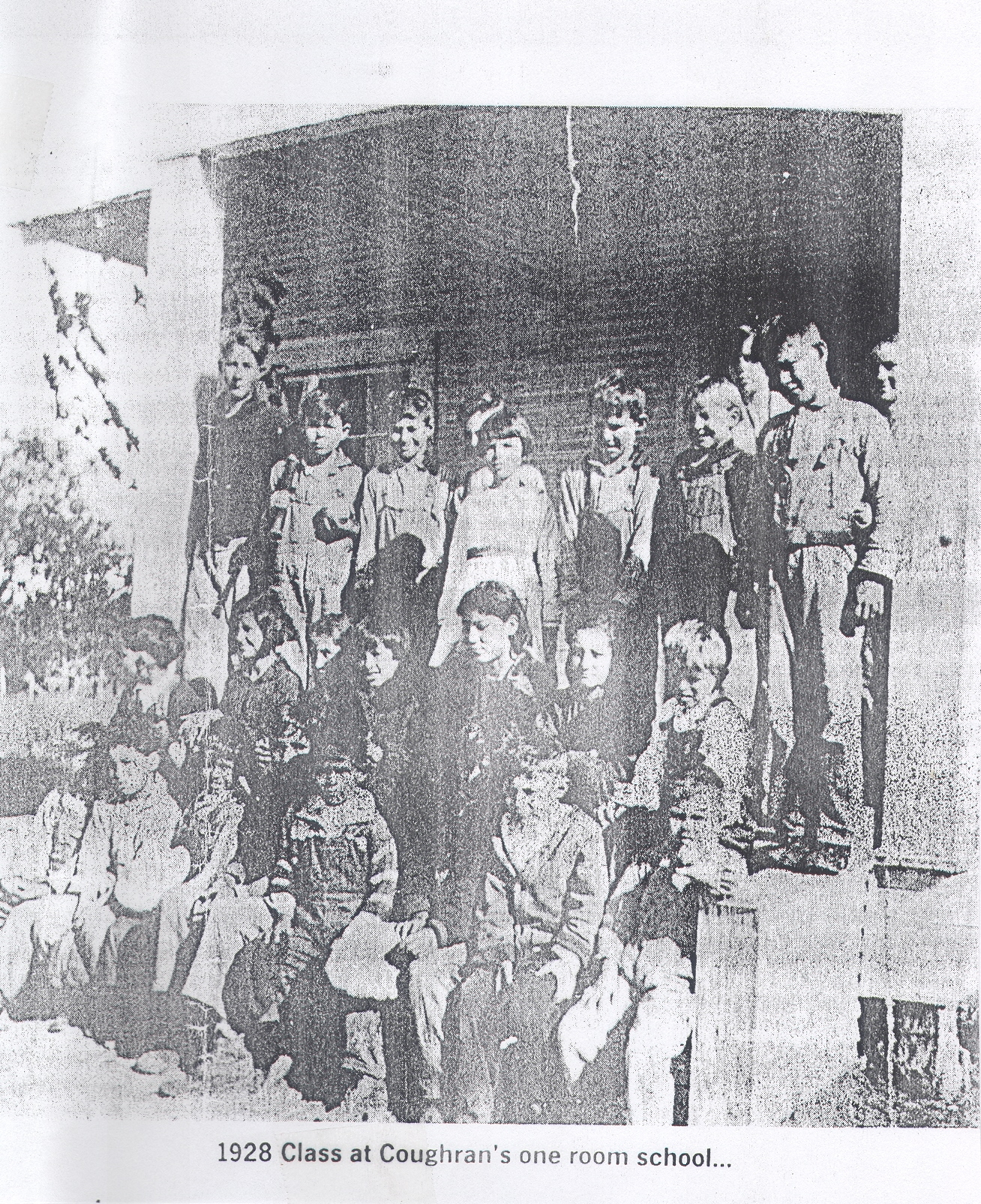 class od 28