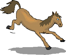 Palomino clipart