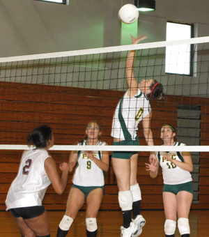 Members of the Palo Alto volleyball team hustle during practice to hit the ball. Later it will be time to hit the books. Photo courtesy of Recreational Sports